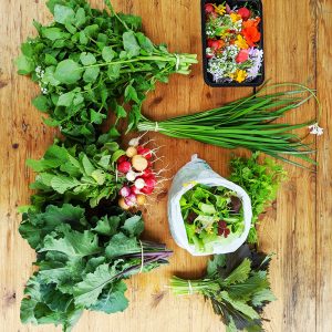 Abonnement "Panier de légumes"