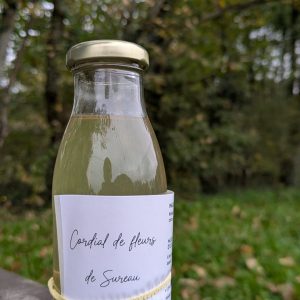 Cordial de fleurs de sureau